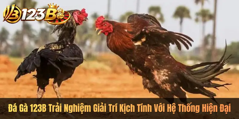 Đá Gà 123B Trải Nghiệm Giải Trí Kịch Tính Với Hệ Thống Hiện Đại